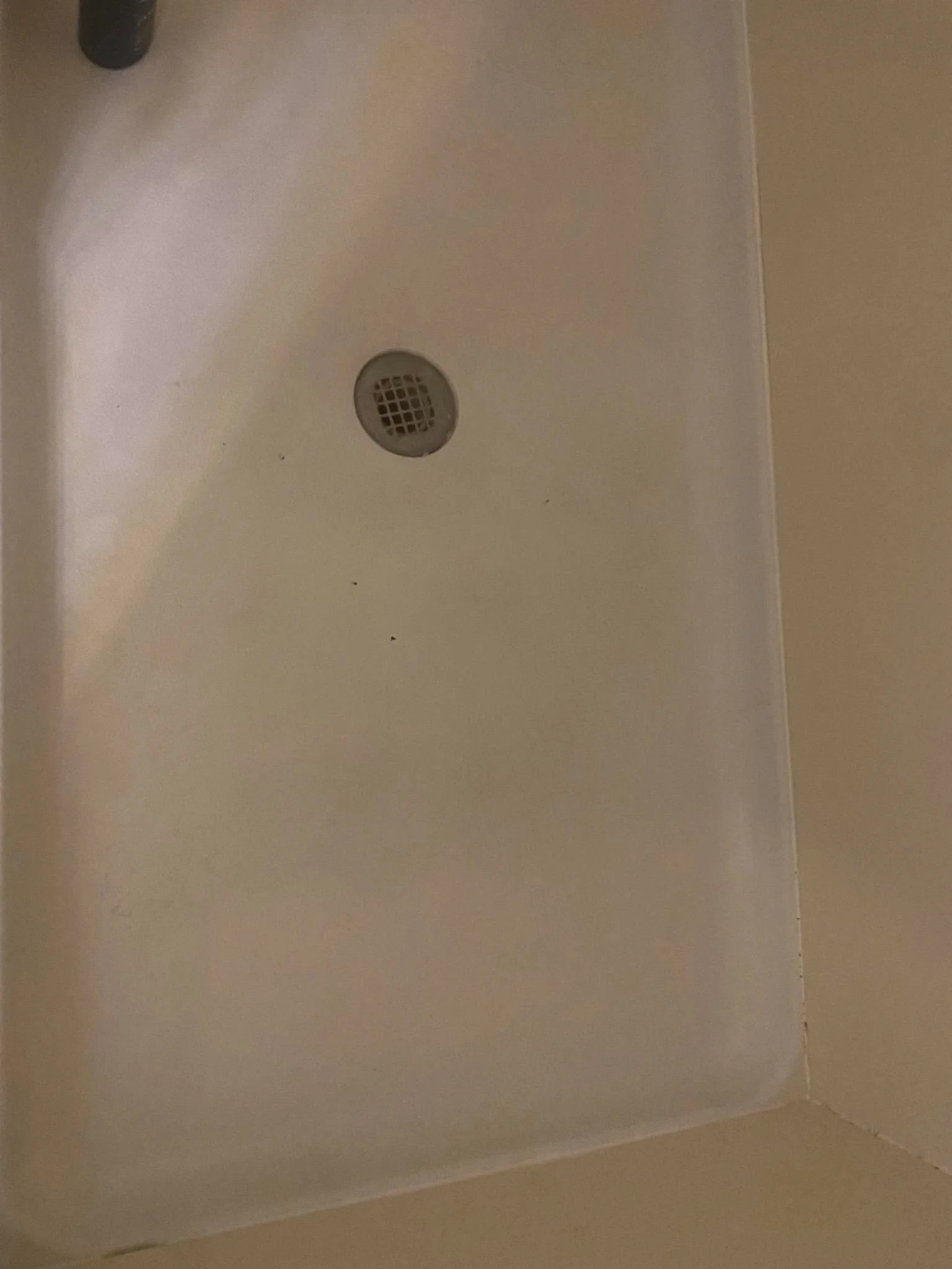 Shower floor after cleaning