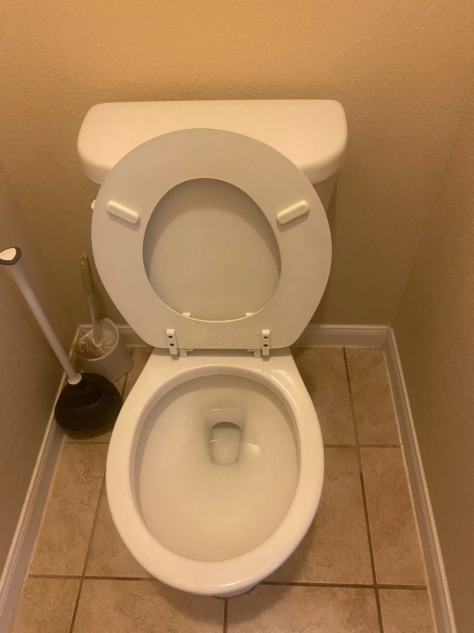 Toilet after deep cleaning