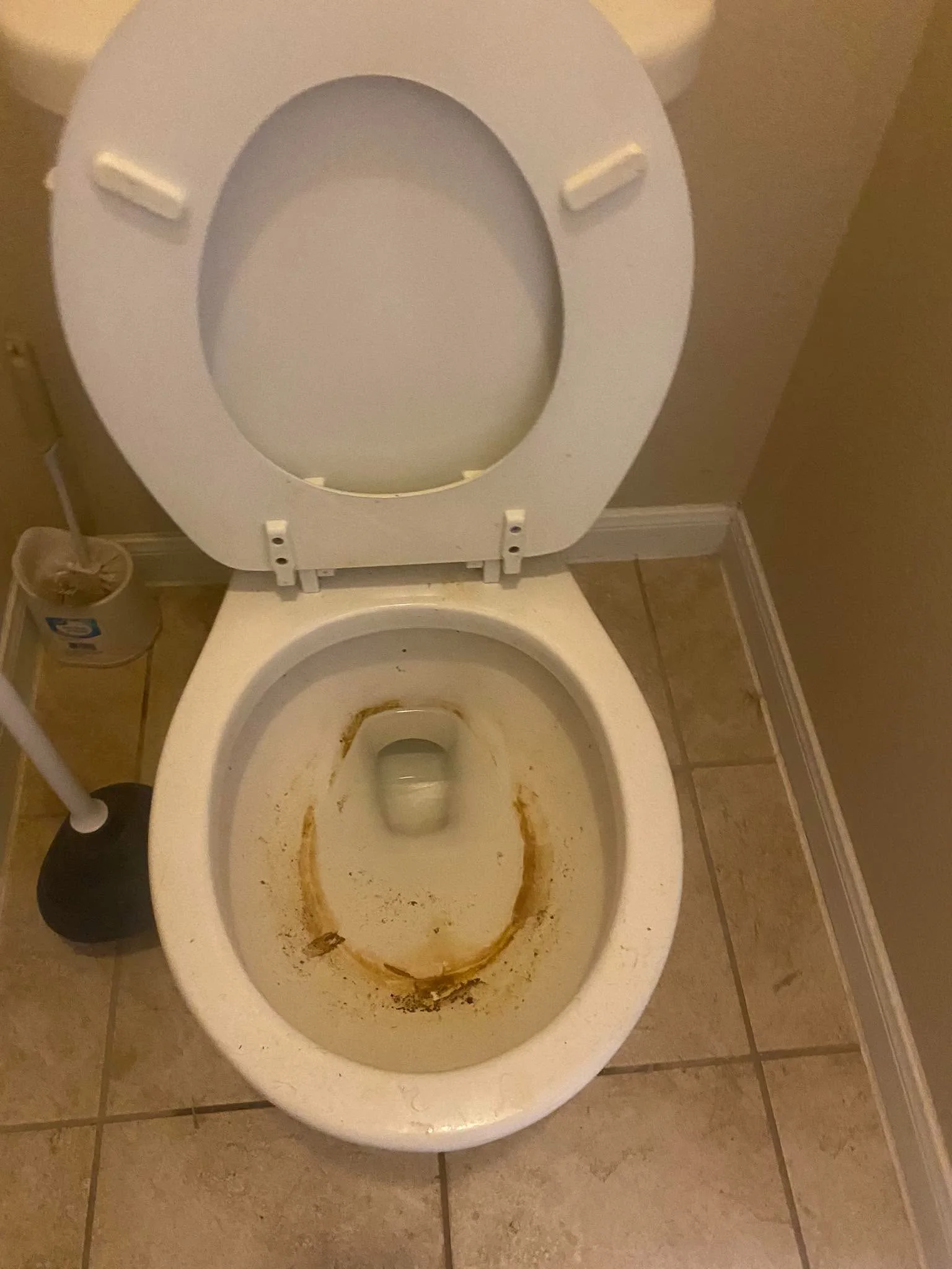 Toilet before deep cleaning